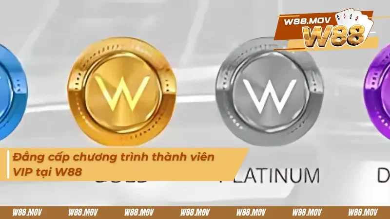 Chương trình thành viên với cấp bậc VIP trong Casino W88