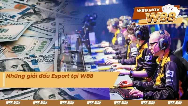 Những giải đấu Esport tại nhà cái