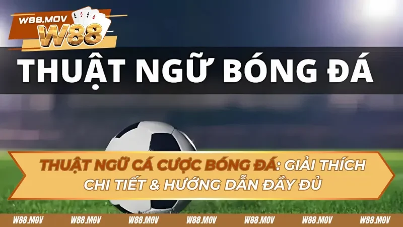 Thuật Ngữ Cá Cược Bóng Đá Là Gì? Cẩm Nang Dành Cho Người Mới